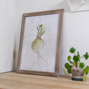 Croston  Root Vegetable Framed Print A